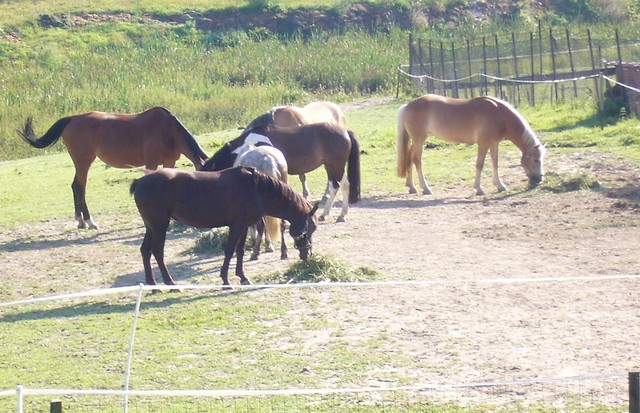 RANCHO BIERNA!!!