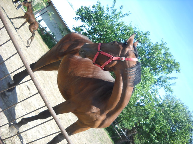 Danta i maluch
