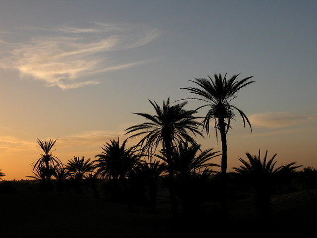 Sahara...