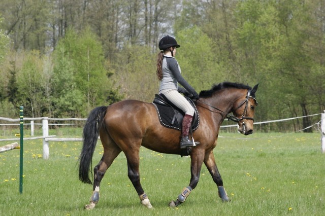 9 V 2010r.