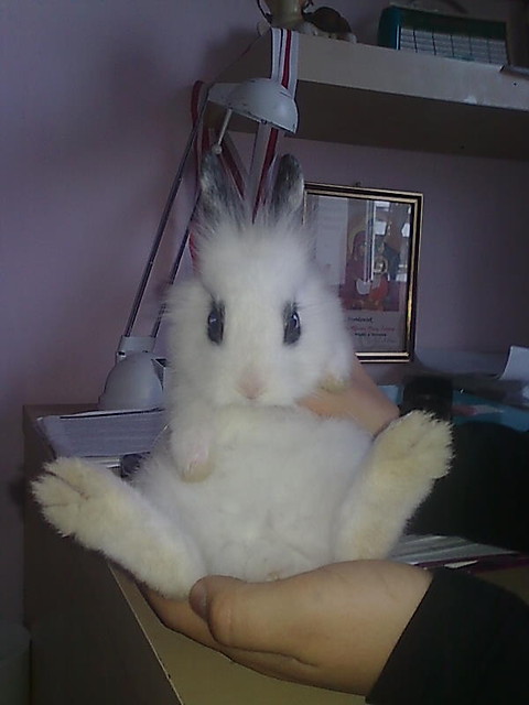 Moja Merlinka ;**