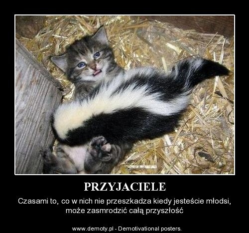 Zazdro 
