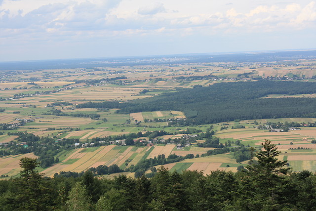 la libert