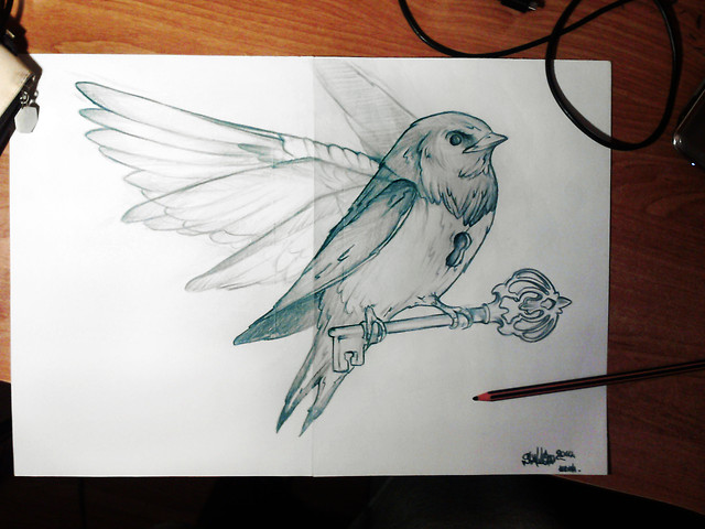 Swallow