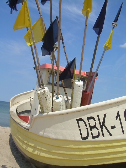 dbk.