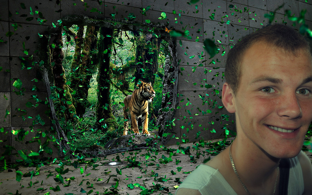 Dawid