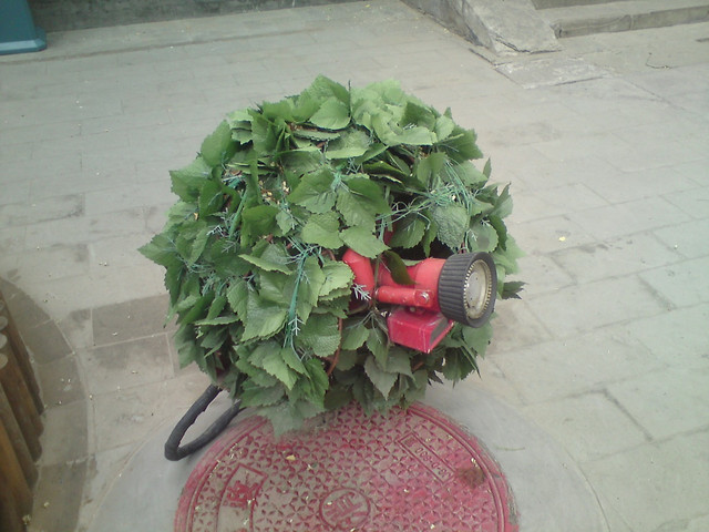 Pekin - :D