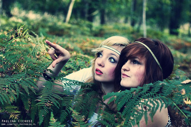 Forest.