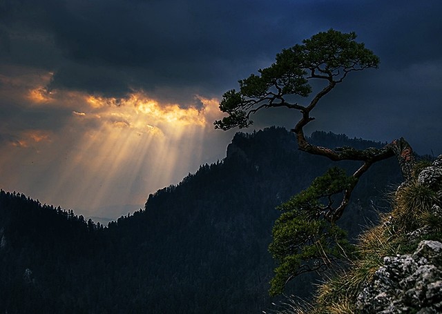 god always see you.