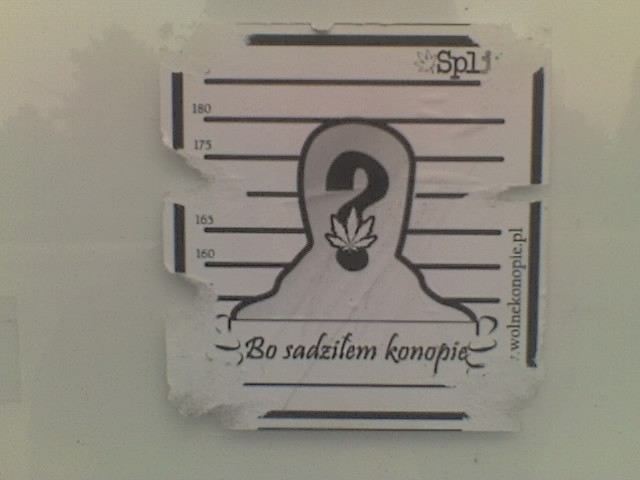 Bo sadziem konopie