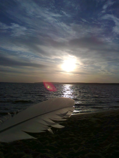 holiday...