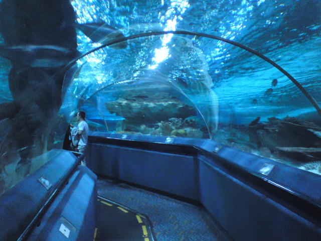 Podwodny tunel