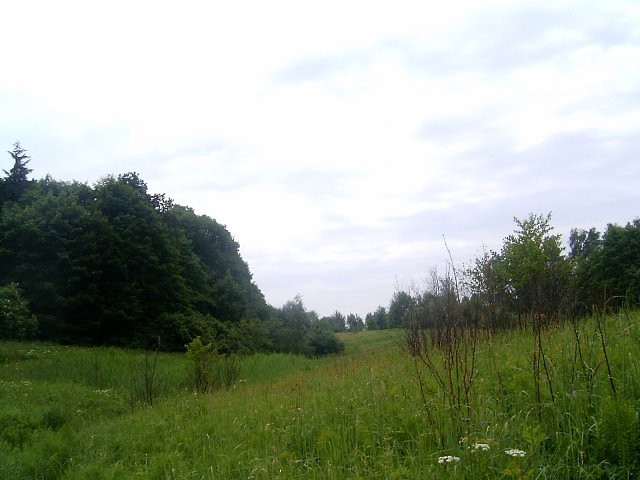 A no ze spaceru;)