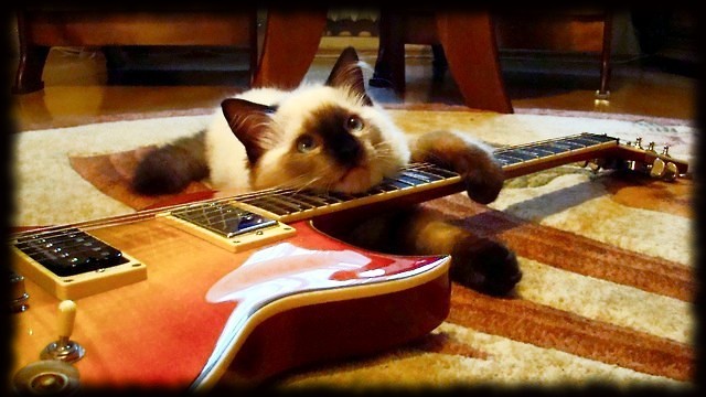 how is your day? :))