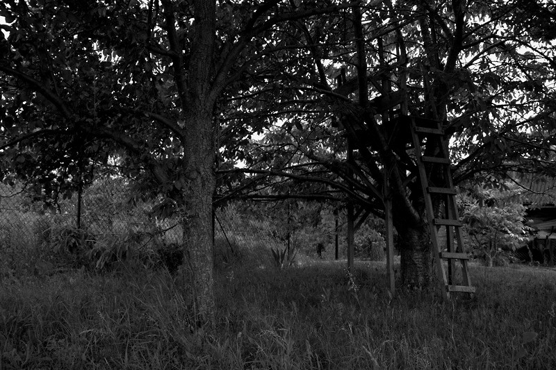 Cemetery Drive