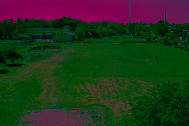 Urodzinki