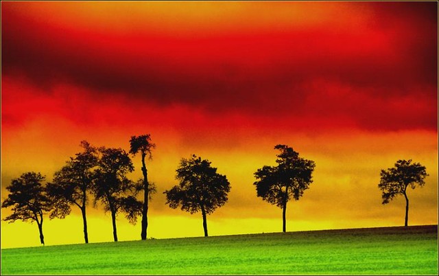 Reggae ; ] 