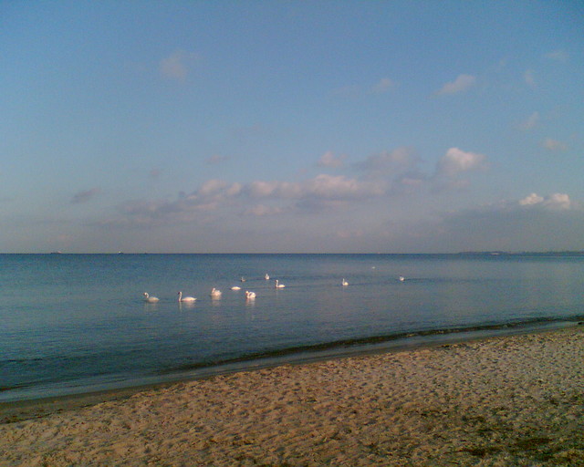 Gdynia 