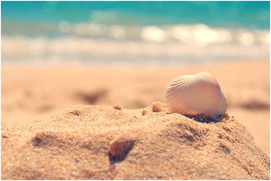 seven days ;D