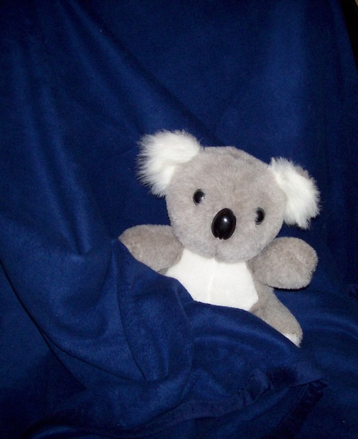 rodowa Koala