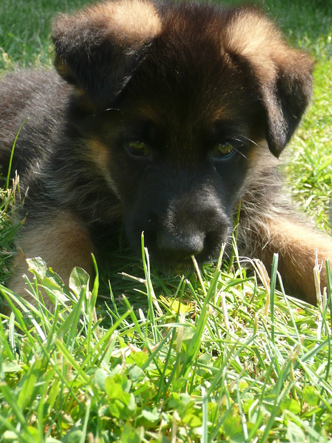 Pocztki :)