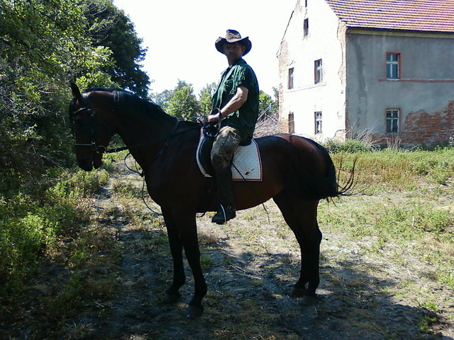 wypad w teren
