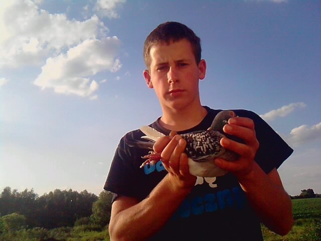 moja zarobista pasja haha goebi
