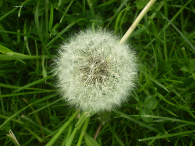 6.