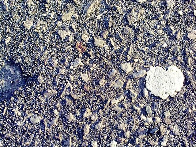 heart.