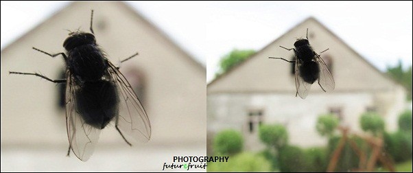 bzzzzz.