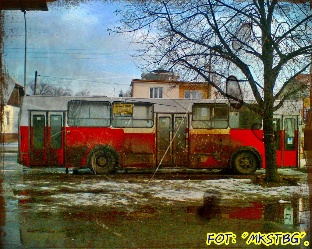 Jelcz M11 #48