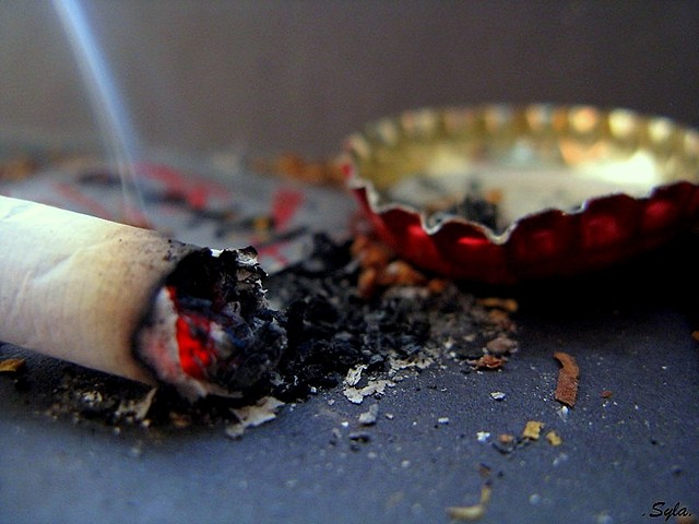Szlug.