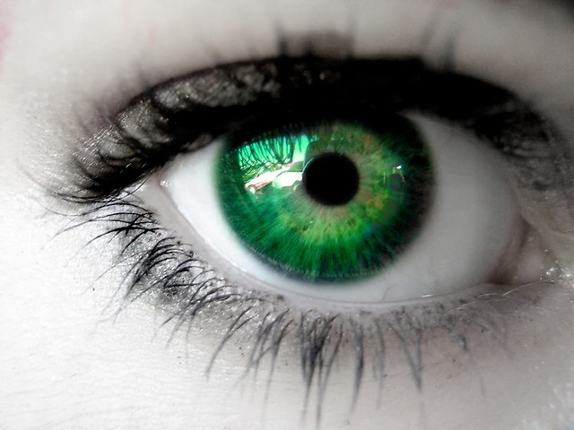 . Green grass. xd
