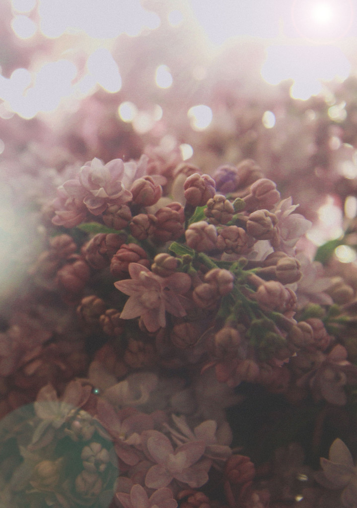I can't stop thinking of you