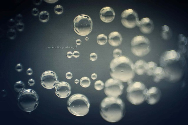 Bubbles.