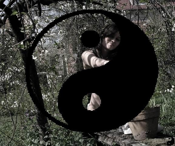 yin i yang