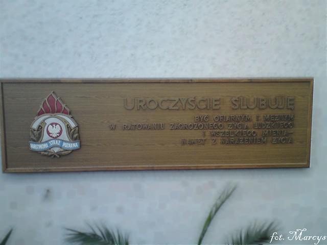 Jedyny cel w yciu....