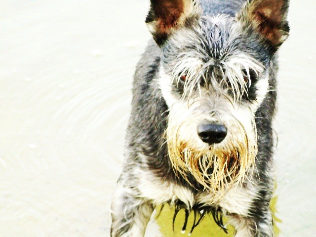 Majki ! :) 