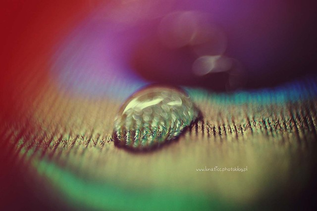 Drop.