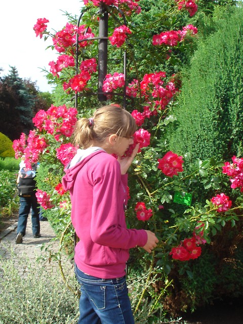 Ogrd Botaniczny 