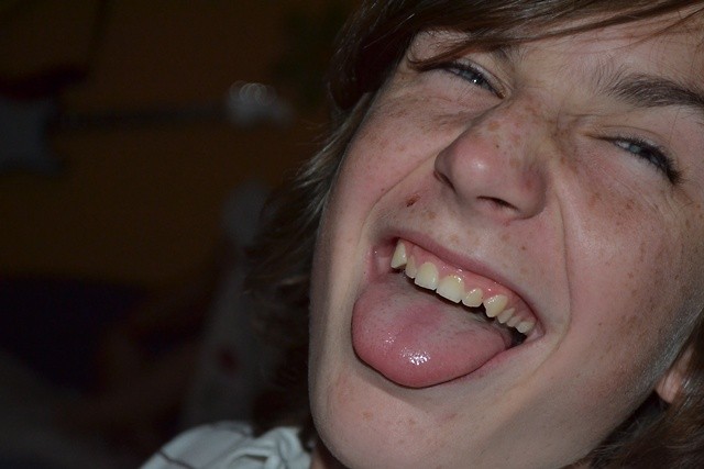 U Dagi ; *