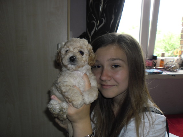 sodziaki ;p 