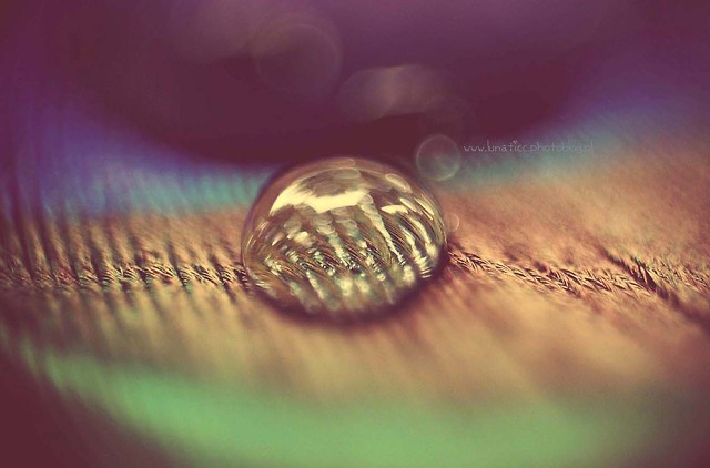 Drop.