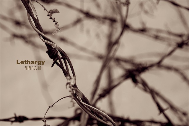 lethargy part two