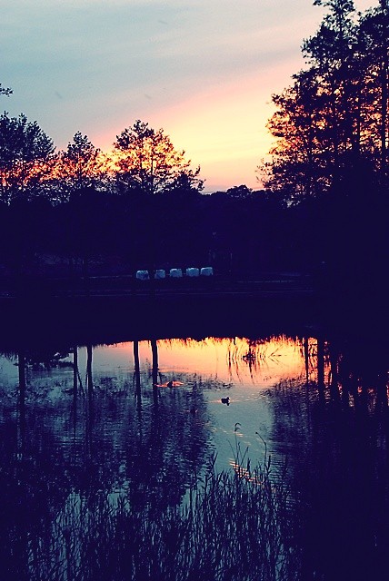 sunset