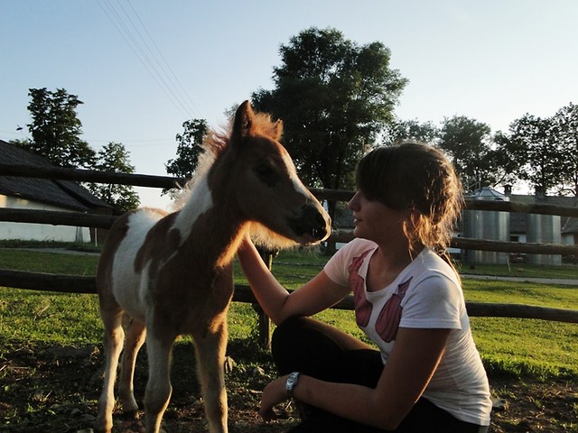 Mody ^^