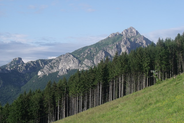 ... zmiany