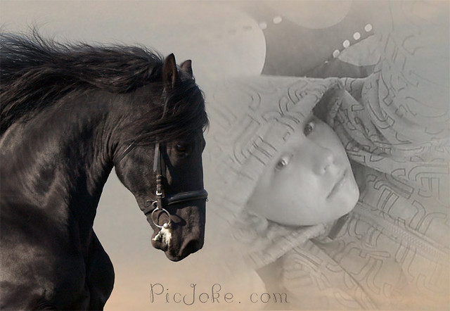 konik