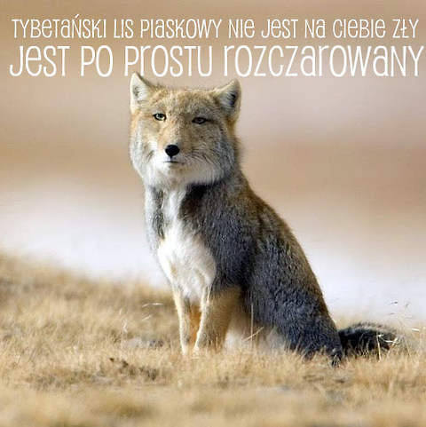 tydzie