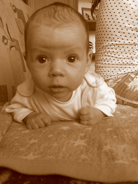 May nosek